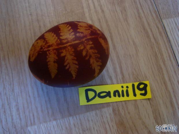Danii19 sīpolmizu & paparžu olas