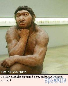 Kas notika ar neandertaliešiem???