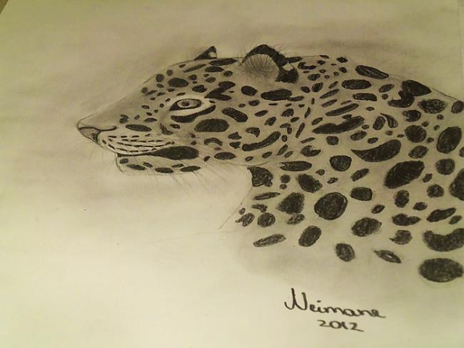 Kā uzzīmēt leopardu.
