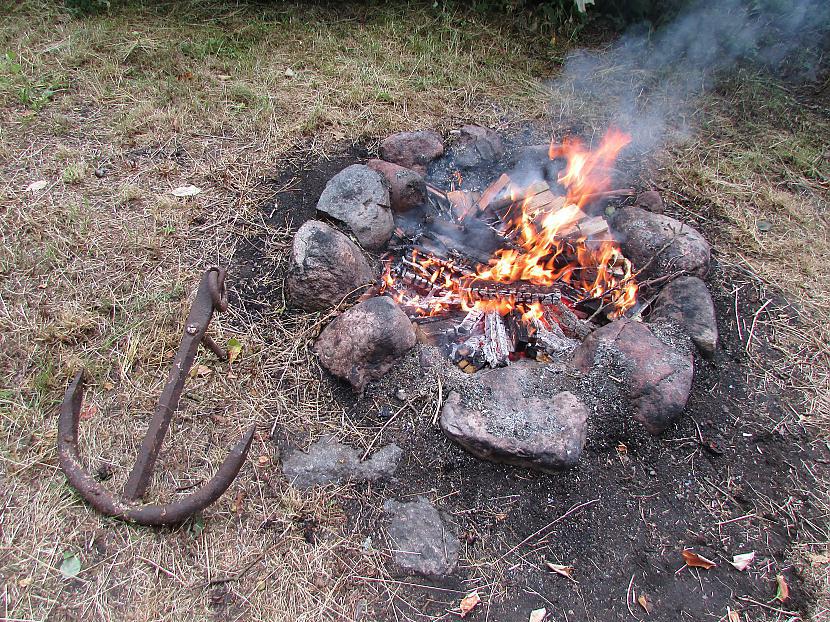 pyrathe 13 balsis Autors: The Diāna Līgo atvērtā konkursa rezultāti