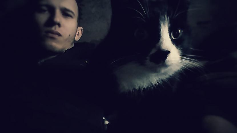 kaķis normālsčalis bff... Autors: The Diāna Spoku FOREVER ALONE konkurss! Balsošana!