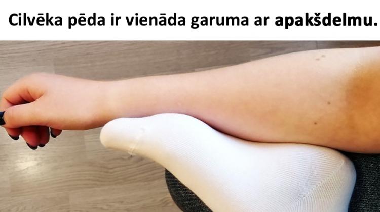 18 interesanti fakti, kas pārsteigs pat viserudītāko cilvēku