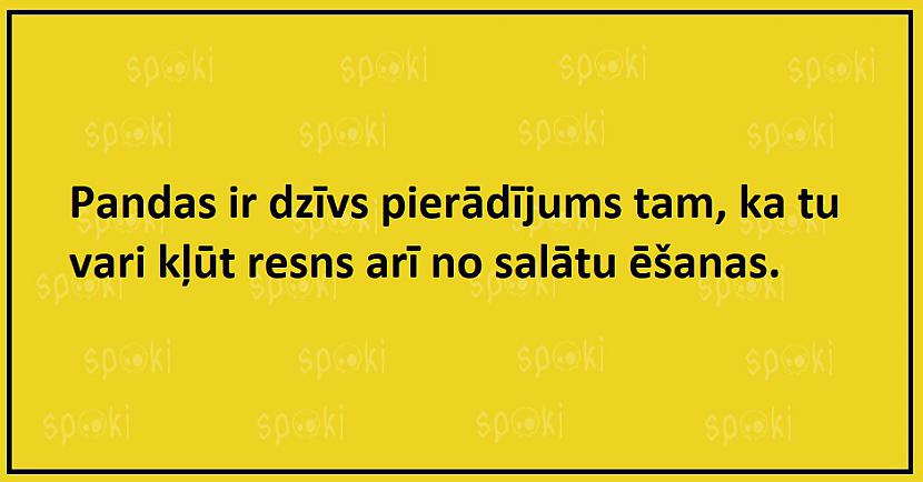 Jociņu izlase garastāvokļa uzlabošanai (17 attēli)