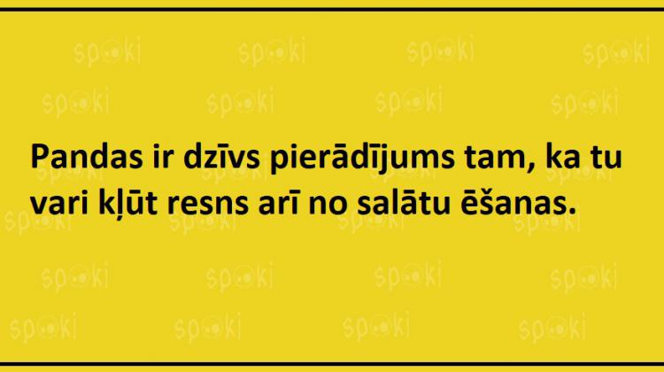Jociņu izlase garastāvokļa uzlabošanai (17 attēli)