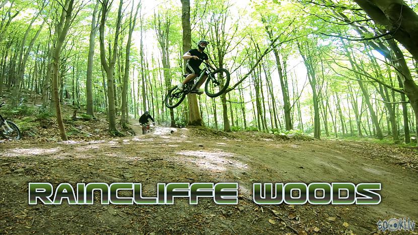 Raincliffe Wood trails -Scarborough
