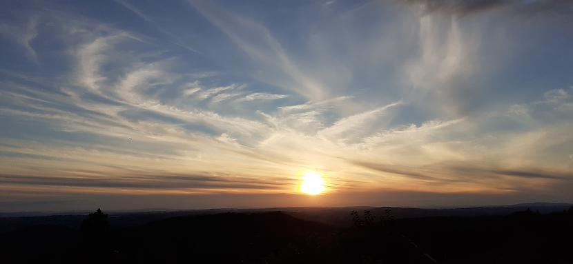 Saulriets Malvernas kalnos, West Malvern.