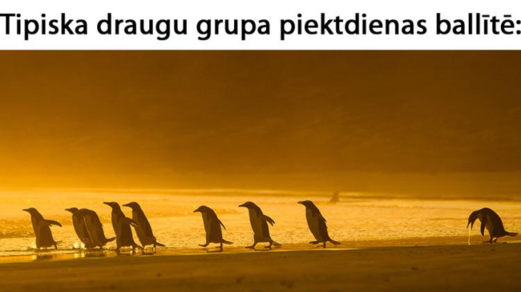 14 smieklīgas memītes par draugiem, ballītēm un parastām ikdienas likstām