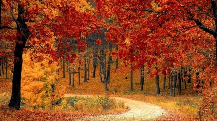 JellyJuiceMusic laiž klajā pavisam rudenīgu singlu ''Autumn Falls''