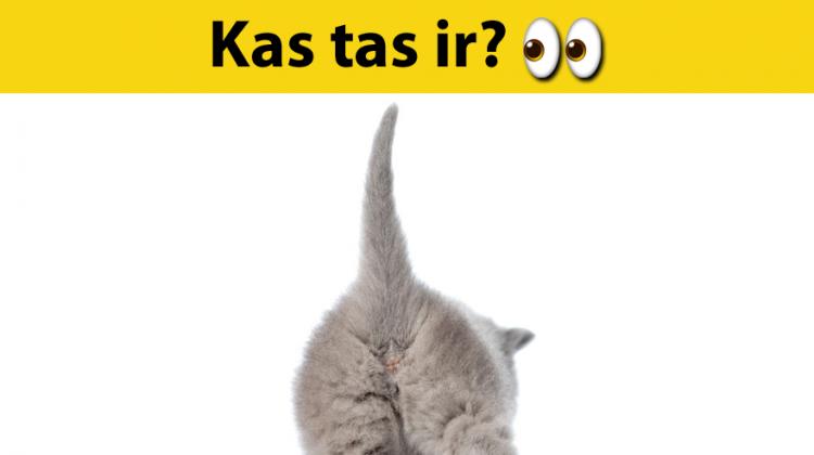 Tests: Vari atpazīt vismaz 7 dzīvniekus no 10, ja redzi tikai to dibenus?