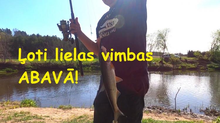Ļoti lielas vimba Abavā! Neizpaliku arī bez pārsteiguma!