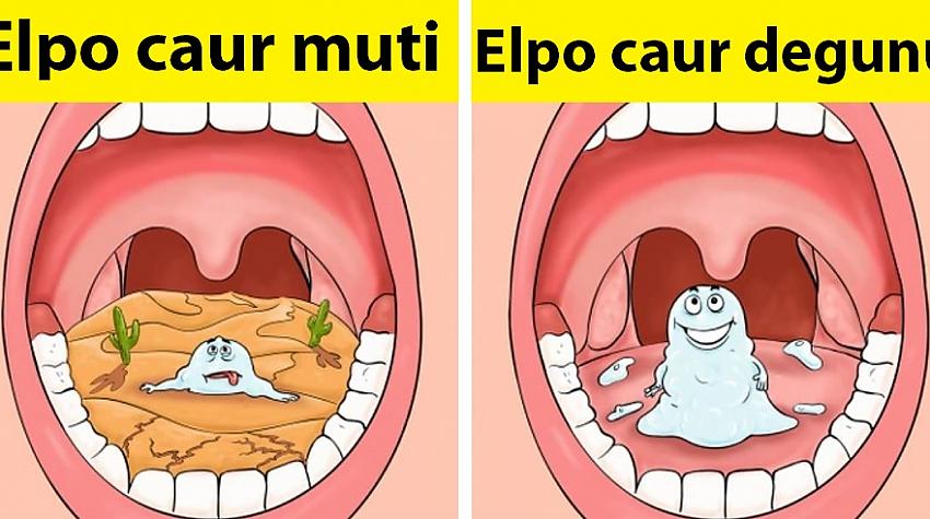 5 lietas, ko darīt, lai saglabātu svaigu elpu
