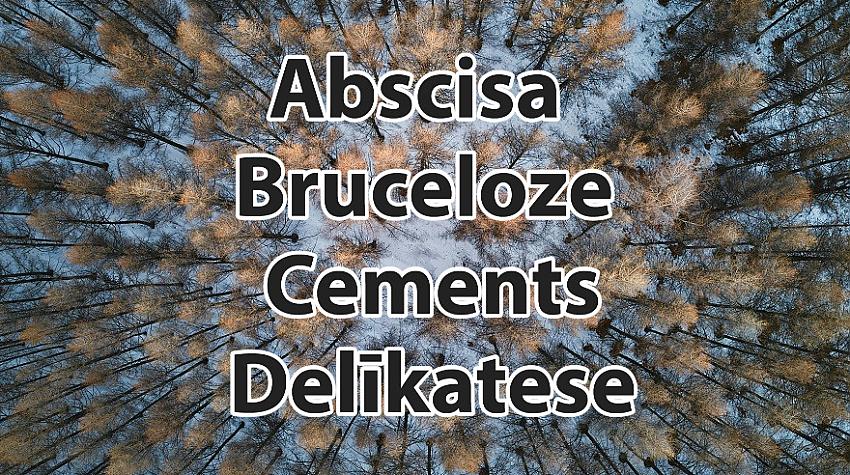 Tests: Kurš svešvārds ir uzrakstīts nepareizi?