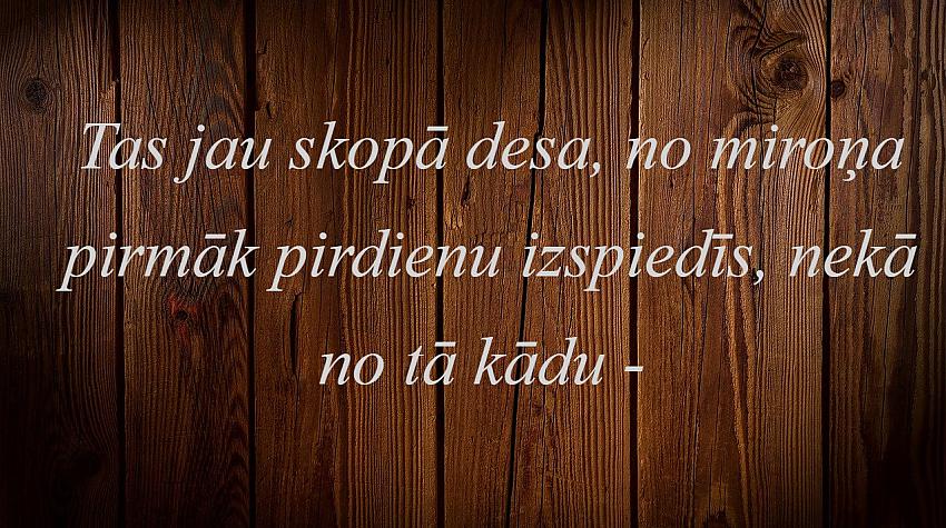 Gudrais tests: Latviešu tautas sakāmvārdi, vai tu tos labi atceries? 28. daļa
