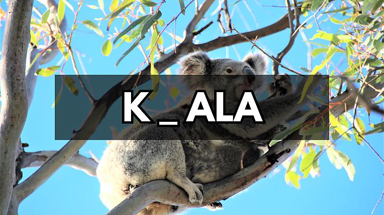 Ātrais tests: Kurš burts izlaists šī dzīvnieka nosaukumā?