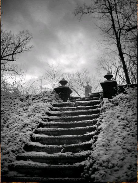  Autors: LittleWolf Mount Rose Cemetery (Kalna Rozes kapliča)