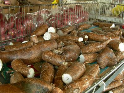Cassava ir ļoti izplatīta... Autors: laforeta Dīvainākās "delikateses"