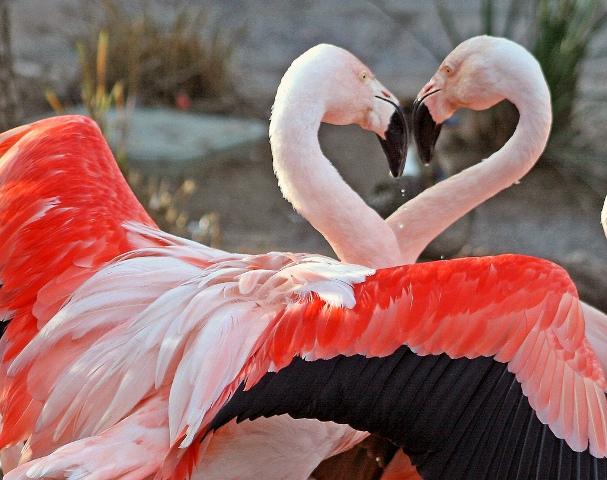 Kad nabadzība klaudzina pie... Autors: zemenigaa ''LOVE''