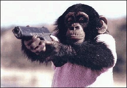 Šimpanze  60 000  65 000  ... Autors: Fosilija Dārgākie mājdzīvnieki .