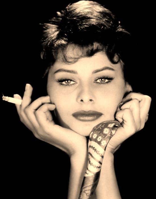  Autors: suplacivit Sofia Loren