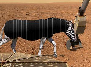 Marsa zebra  NASA automātiskā... Autors: kamazs112 Mazliet savādāki Latvijas notikumi