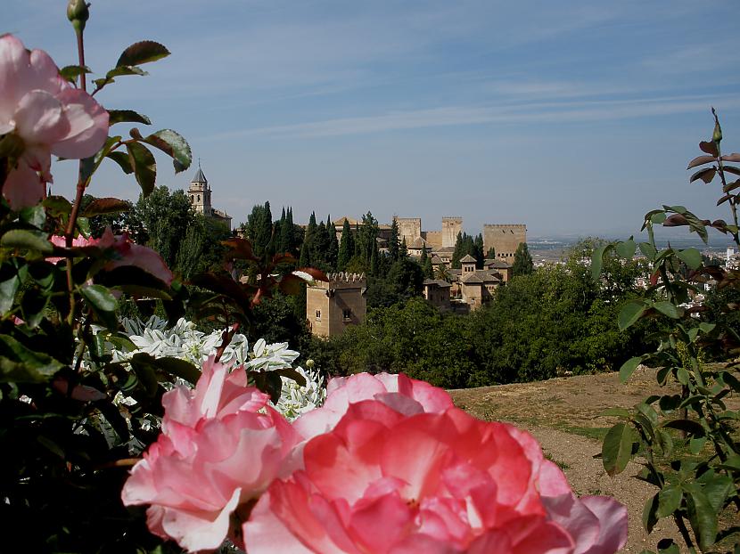  Autors: Almucha Alhambra