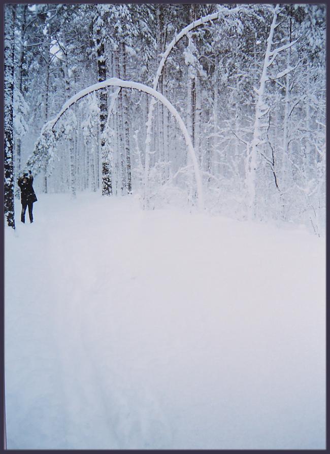  Autors: stokijs 15.aprīlis šodien un 2001. gadā