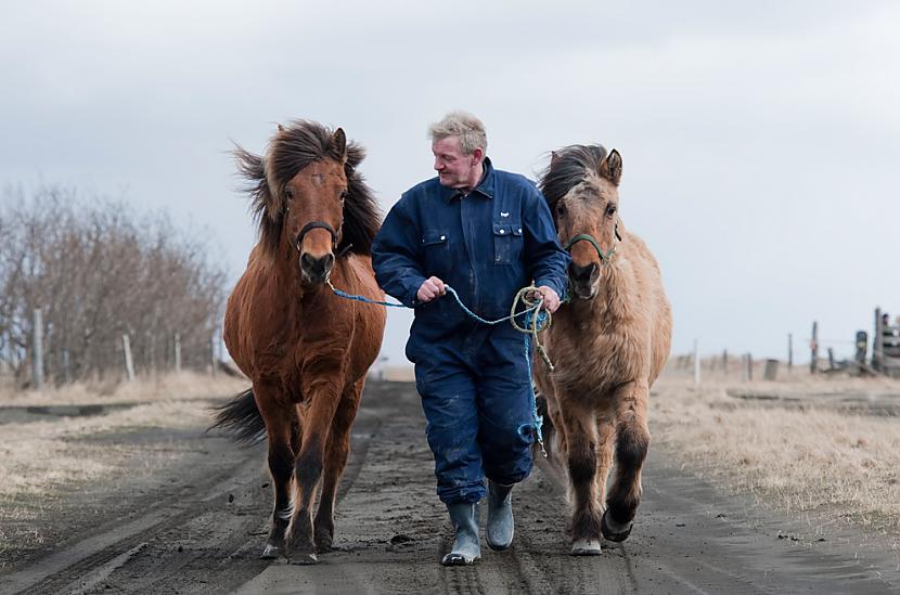 Ingi Sveinbjoernsso leads his... Autors: ixtys Islandes Eyjafjallajokull volcano