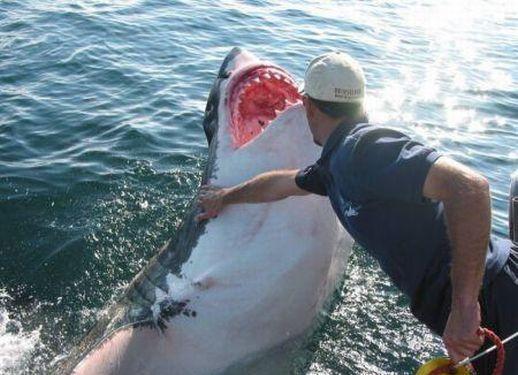 Tāds lūk ir šis mīlas stāsts Autors: Sportsmen Haizivs un cilvēka mīlestība.