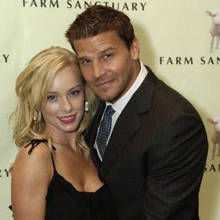  Autors: SamanthaJones David Boreanaz atzinies...