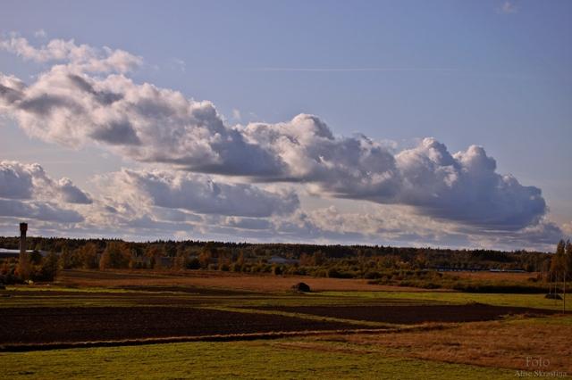  Autors: Indīgā Fotogrāfijas.