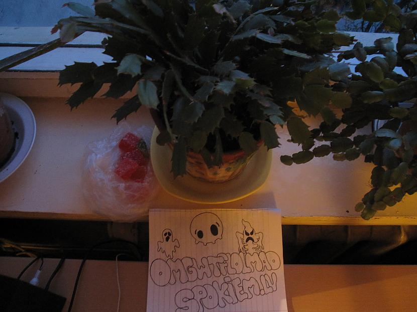 Tas ir ziemassvētku kaktuss  Autors: OMGWTFLOLMAO Kaktuss ar marmelādi.