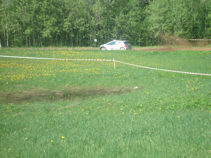  Autors: Fosilija rallijs talsi 2010