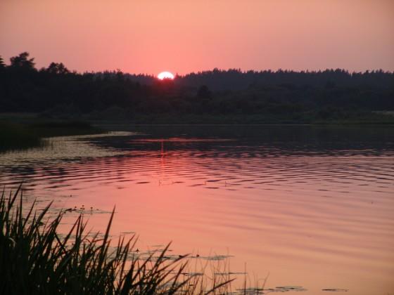 Visstulbākais ir tas ka nevar... Autors: Fosilija Summer nights. :).