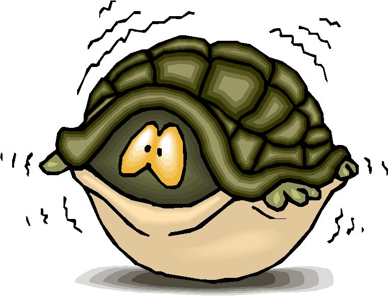 Ja bruņurupucim nav bruņu viņš... Autors: Fosilija Kāaa?