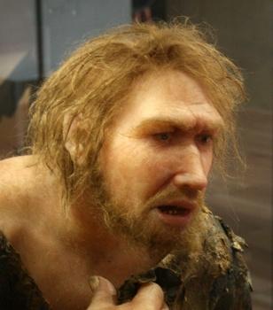 Meli  Neandertāliescaroni... Autors: heh meli par neandertāliešiem.