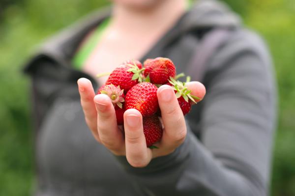  Autors: ChickenLittle Strawberries