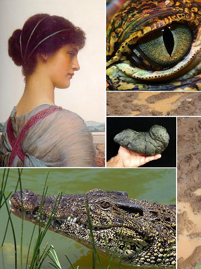 Pelde krokodila mēslos Senie... Autors: AndOne Senas un briesmīgas metodes skaistuma saglabāšanai