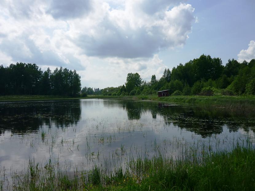  Autors: KaliZs Vienvārdsakot- LAUKI