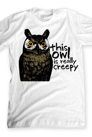 this owl is creepy Isn039t she Autors: Puss In Boots thecomputernerd01