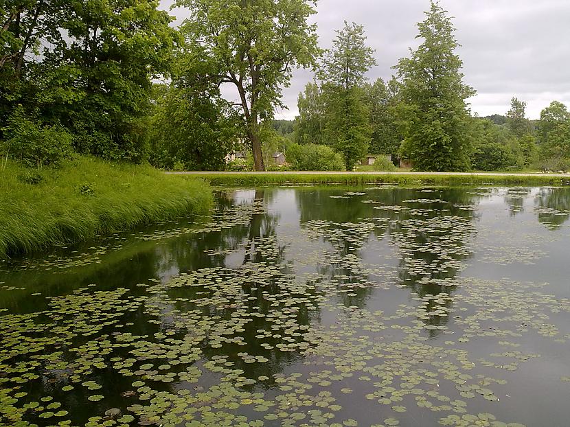  Autors: chesterfields Latvijas labumi- Vestiena