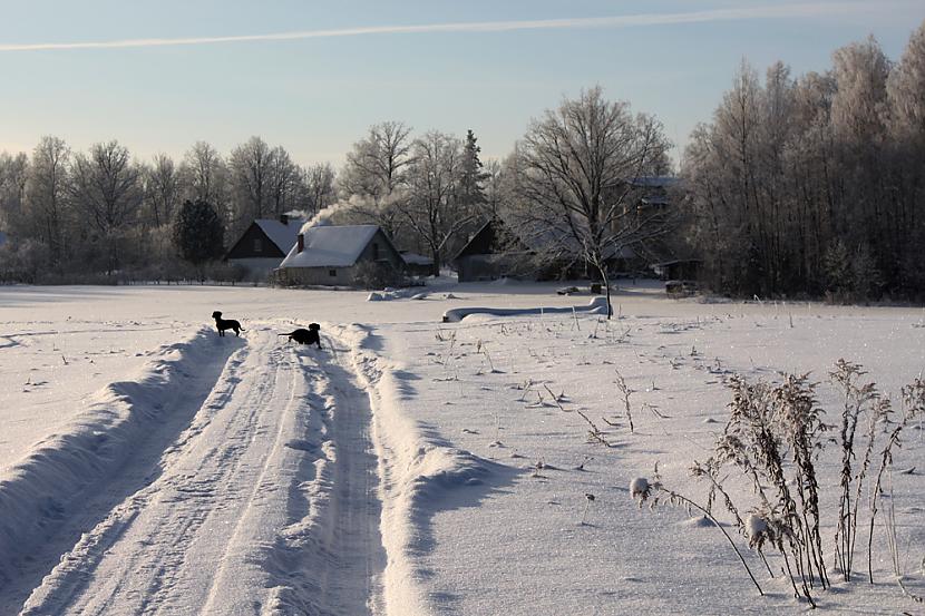  Autors: edelveis Ziemas atmiņas