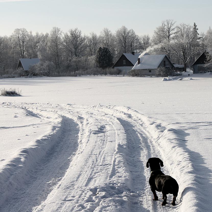  Autors: edelveis Ziemas atmiņas