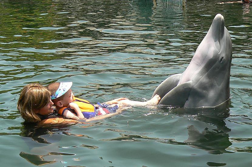 Delfīni palīdz bērniem un... Autors: IGuess Delfīnu terapija