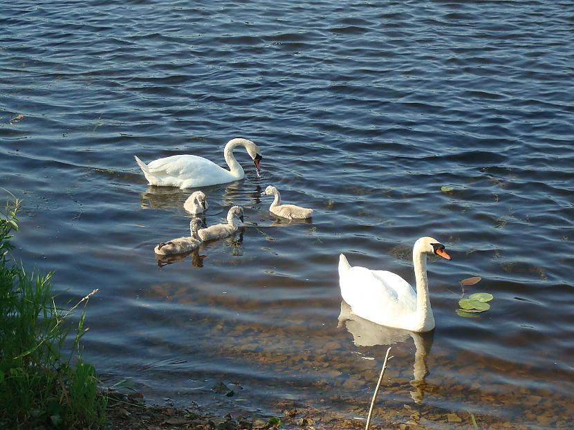 Vai maz iespējams ka kādā no... Autors: ashantijaA Olimpa dievi.