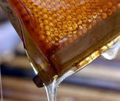 Ārstniecībā medu izmant jau ap... Autors: serea Bites un medus