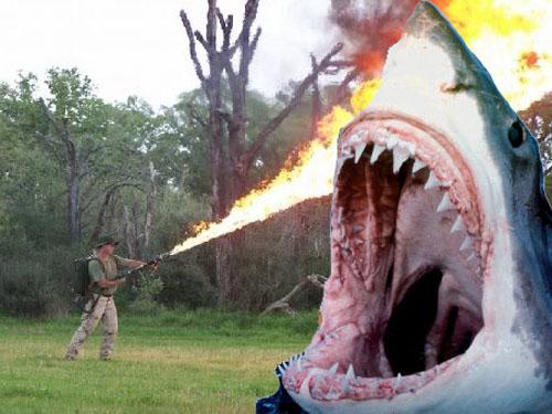 UgunsmetējsGatavojaties hazivs... Autors: pankuka Kā atvairīt haizivs uzbrukumu?