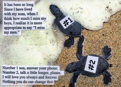 It has been so long since I... Autors: GV666 PostSecret (1.daļa)