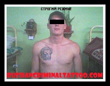 Bullis nozime vienu no divam... Autors: 6 Russian Prison Tattoos (kriminalo aprindu tetovejumu nozime)