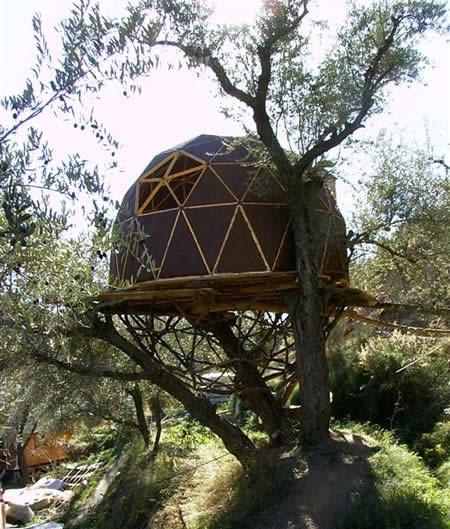 Šī māja ir būvēta no olīvkoka... Autors: Grandsire Māja kokā?