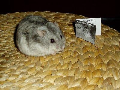  Autors: Krekeris Hamster